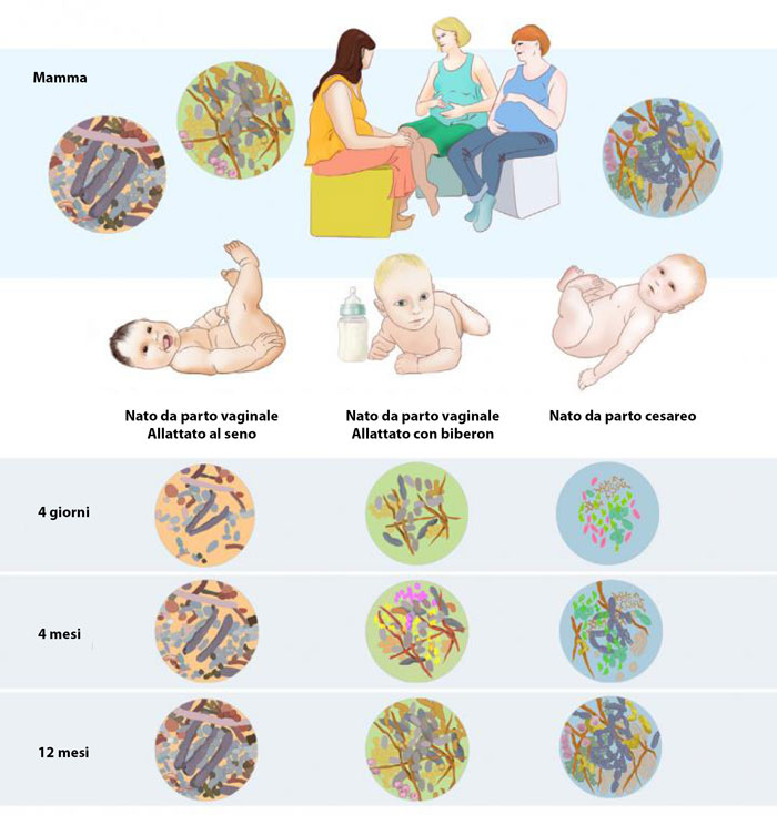 microbioma scheda 2015